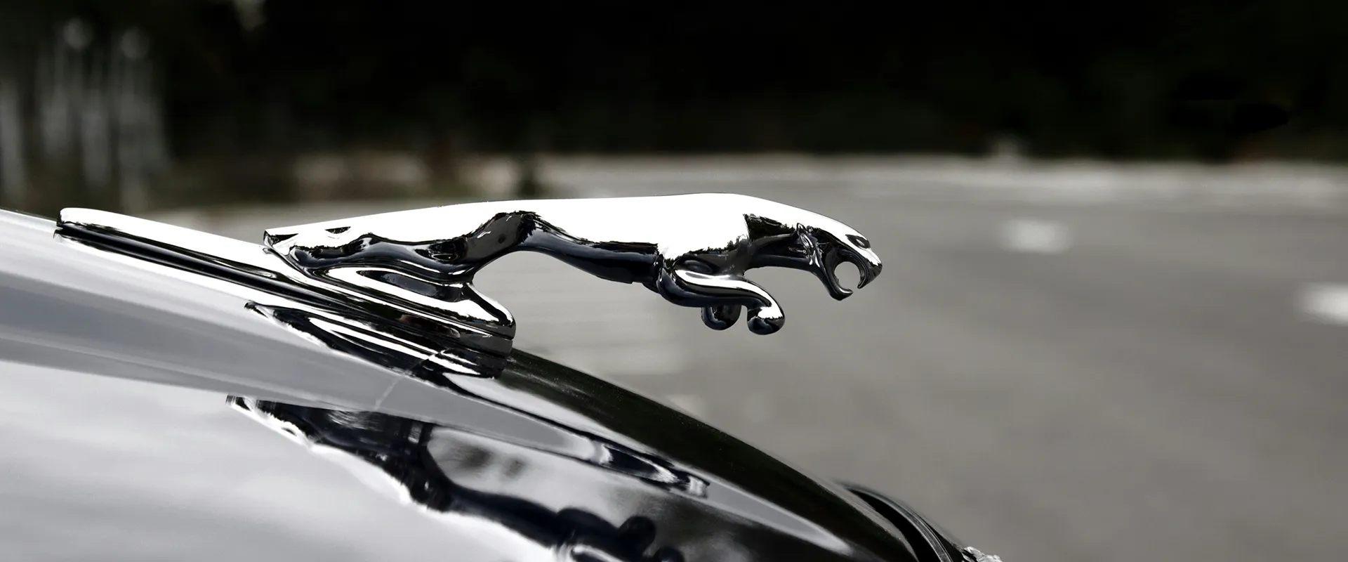 Jaguar Repair and Service near Lewisville, TX